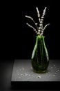 Dried lavender in a green bottle photographed in studio with moody dark light.