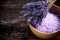 Dried lavender Royalty Free Stock Photo