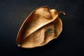 Dried leaf. One dry brown leaf. Selective focus. Shallow depth of field. Heavily textured image