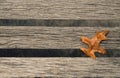 Dried leaf on a wooden bench close up. Seasonal background Royalty Free Stock Photo
