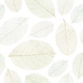 Dried leafs seamless background. Royalty Free Stock Photo