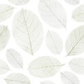 Dried leafs seamless background. Royalty Free Stock Photo