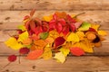 Dried leaves background