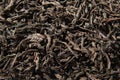 Dried leaves of black tea background. Royalty Free Stock Photo