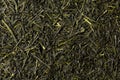 Dried leaves of green sencha tea, full frame. Royalty Free Stock Photo