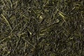 Dried leaves of green sencha tea, full frame.