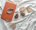 Dried leaves, pine cones, a book on a white sheet. Royalty Free Stock Photo