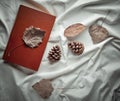 Dried leaves, pine cones, a book on a white sheet. Top view Royalty Free Stock Photo