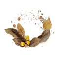 Dried leaves, walnuts and quince Autumn wreath imitation on white background