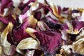 Dried leaves of a white-red rose