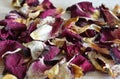 Dried leaves of a white-red rose