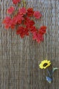 Dried leaves and yellow flower on hassock