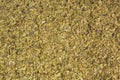 Dried leaves of yerba mate tea background. Nutrition. Traditional tea in South-America