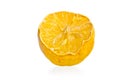 Dried lemon mold spores on white background Royalty Free Stock Photo