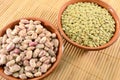 Dried lentils and beans Royalty Free Stock Photo