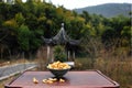 Dried lily in bowl