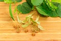 Dried linden flowers on bamboo surface against of fresh branch Royalty Free Stock Photo