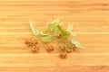 Dried linden flowers for linden tea on a bamboo surface Royalty Free Stock Photo