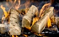 Dried logs of wood burning in a barbecue Royalty Free Stock Photo