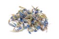 Dried Lotus Flower Tea Isolated