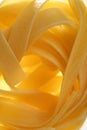 Dried macro noodles yellow pasta, studio shot