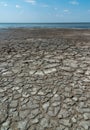 Dried macrophyte algae on the sandy shore of the salty Tuzla estuary Royalty Free Stock Photo