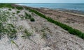 Dried macrophyte algae on the sandy shore of the salty Tuzla estuary Royalty Free Stock Photo