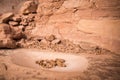 Dried maize in ancient pueblo grinding stone