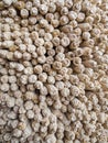 Dried maize or corn cobs stacked to be used as fuel for wood fire, Ha Kome Cave Homes, Lesotho, Southern Africa