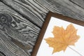 A dried maple leaf in a photo frame. On brushed pine boards painted black and white Royalty Free Stock Photo