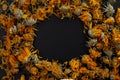 Dried marigold calendula oficinalis plants,