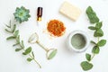 Dried marigold flowers and natural skin care ingredient on white background. Apothecary