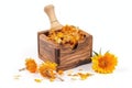 Dried marigold flowers in a wooden box on a white background. Generative AI Royalty Free Stock Photo