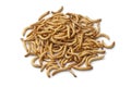 Dried mealworm larva