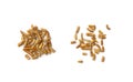 Dried Mealworms Larvae as a Source of Protein for Pets Royalty Free Stock Photo