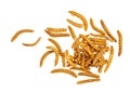 Dried mealworms, larvae of Tenebrio molitor. Edible insects here crisped and barbecue flavour. Isolated on white