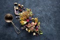 Dried medicinal herbs and flowers for herbal tea Royalty Free Stock Photo