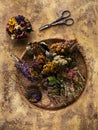 Dried medicinal herbs and flowers for herbal tea. Royalty Free Stock Photo