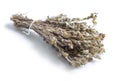 Dried medicinal herbs raw materials isolated on white. Gnaphalium uliginosum or marsh cudweed. Royalty Free Stock Photo