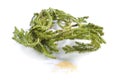 Dried medicinal herbs raw materials isolated on white. Plant wit