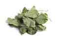 Dried medicinal herbs raw materials on white. Leaves of