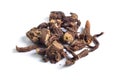 Dried medicinal herbs raw materials on white. Root of T