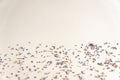 Dried medicinal lavender herb flowers scattered on grey background Royalty Free Stock Photo