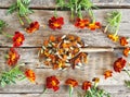 Dried medicinal red flowers of black-haired or golden Mary, Turkish carnation in a wooden spoon with fresh flowers on a wooden Royalty Free Stock Photo
