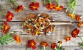 Dried medicinal red flowers of black-haired or golden Mary, Turkish carnation in a wooden spoon with fresh flowers on a wooden Royalty Free Stock Photo