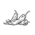 Dried Mexican Peppers outline icon