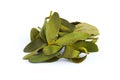 Dried mistletoe leaves