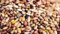 Dried mixed beans Royalty Free Stock Photo