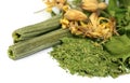 Dried moringa with leaves and flower