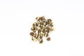 Dried moringa seeds on a white isolated background Royalty Free Stock Photo